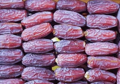 WhatsApp Image 2024-09-29 at 12.06.10 PM