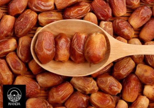 WhatsApp Image 2024-09-29 at 12.09.15 PM (1)