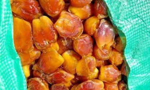 WhatsApp Image 2024-09-29 at 12.10.05 PM