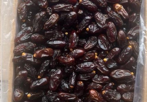 WhatsApp Image 2024-09-29 at 12.12.35 PM