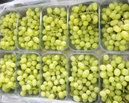 WhatsApp Image 2024-10-01 at 6.46.36 PM